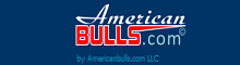 american-bulls-review