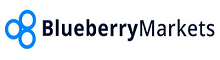 blueberry-markets-review